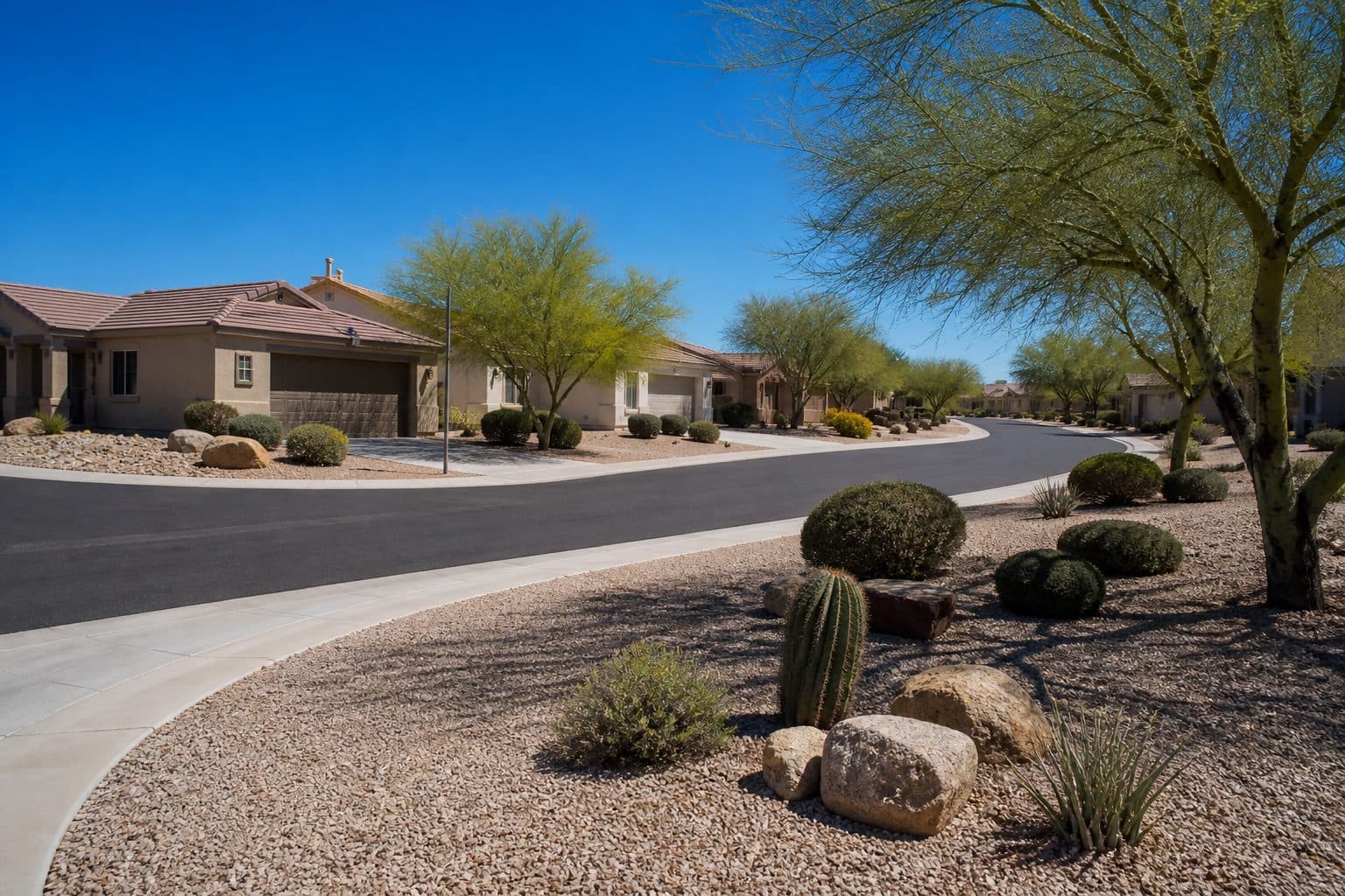 Henderson desert community of one-story homes, gravel and palo verde in the parkway.